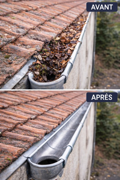 AF1QipOWiTdIedDz7C1vR2uYjgWBEt95l8rVLLnS-oxF=s1354-k-no